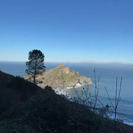 La Petite Graviere Oceane